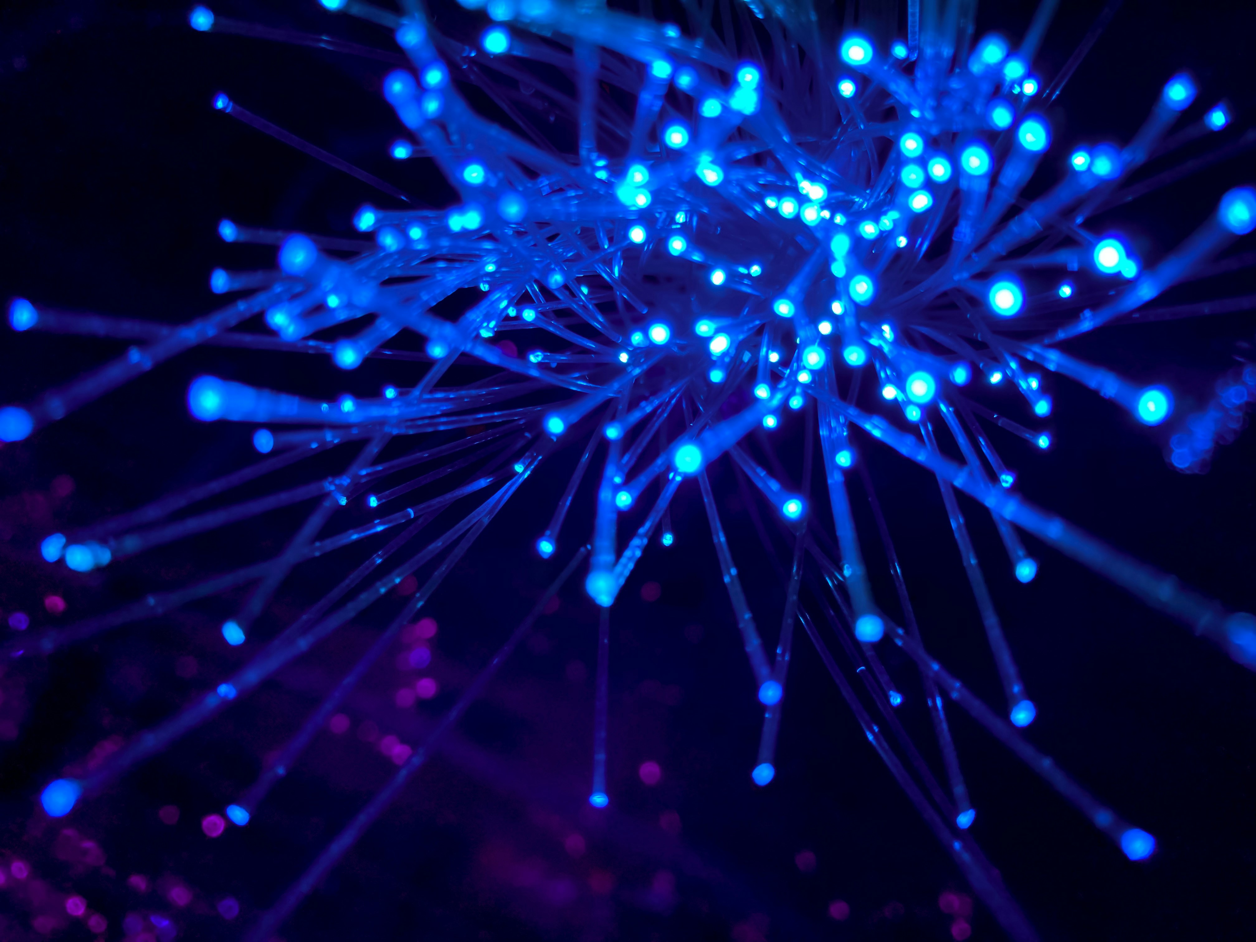 INTERCLIME network — research and advocacy